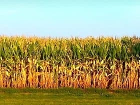 Oklahoma