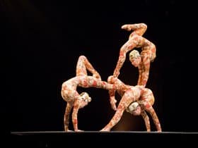 Cirque du Soleil: Volta