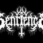 Sentience