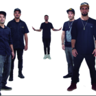 Planta e Raiz