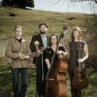 Foghorn Stringband