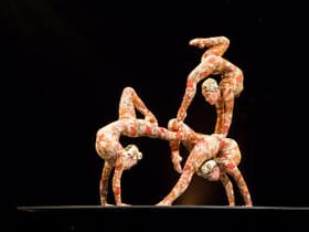 Cirque du Soleil - Under The Same Sky