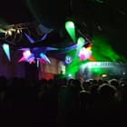 Altern 8