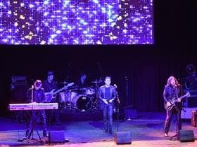 The Australian Bee Gees Show