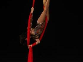 Cirque du Soleil: Alegria