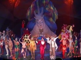 Cirque du Soleil: Mystere