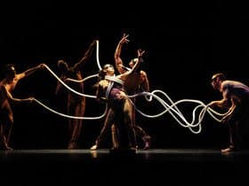 Pilobolus