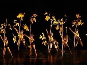 Momix