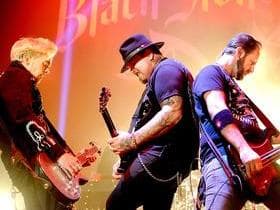 Black Stone Cherry