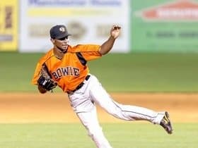 Chesapeake Baysox