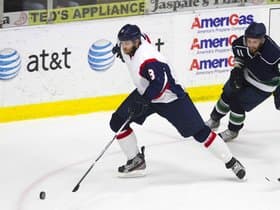 Kalamazoo Wings
