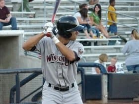 Wisconsin Timber Rattlers