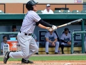 Jupiter Hammerheads