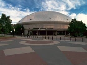 UConn Huskies Womens Basketball