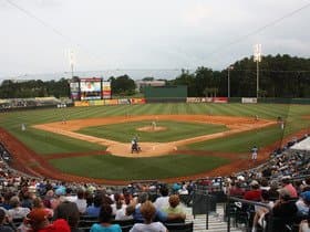 Myrtle Beach Pelicans