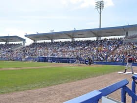 Dunedin Blue Jays