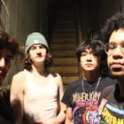 Rotundos