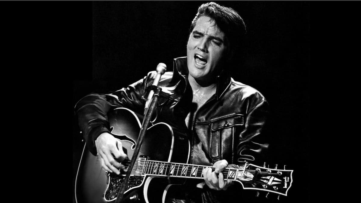 Elvis the Concert