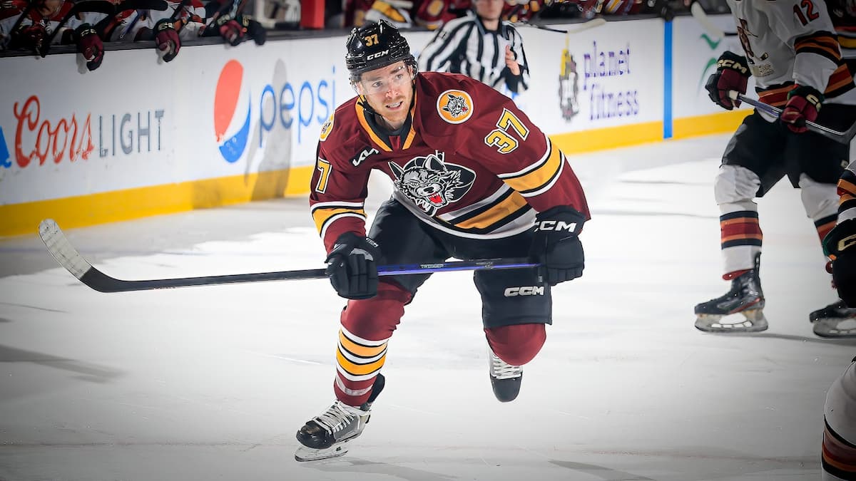 Chicago Wolves