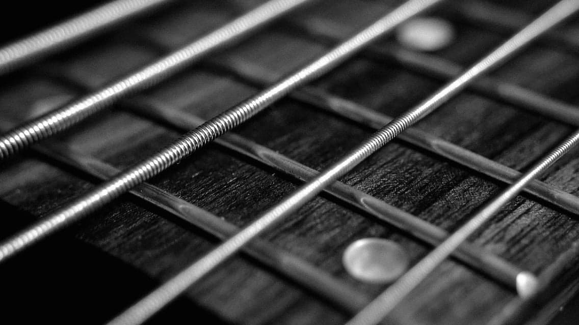 Mad Dog Blues Band