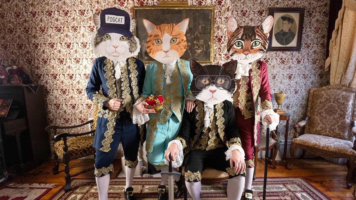 Fantastic Cat