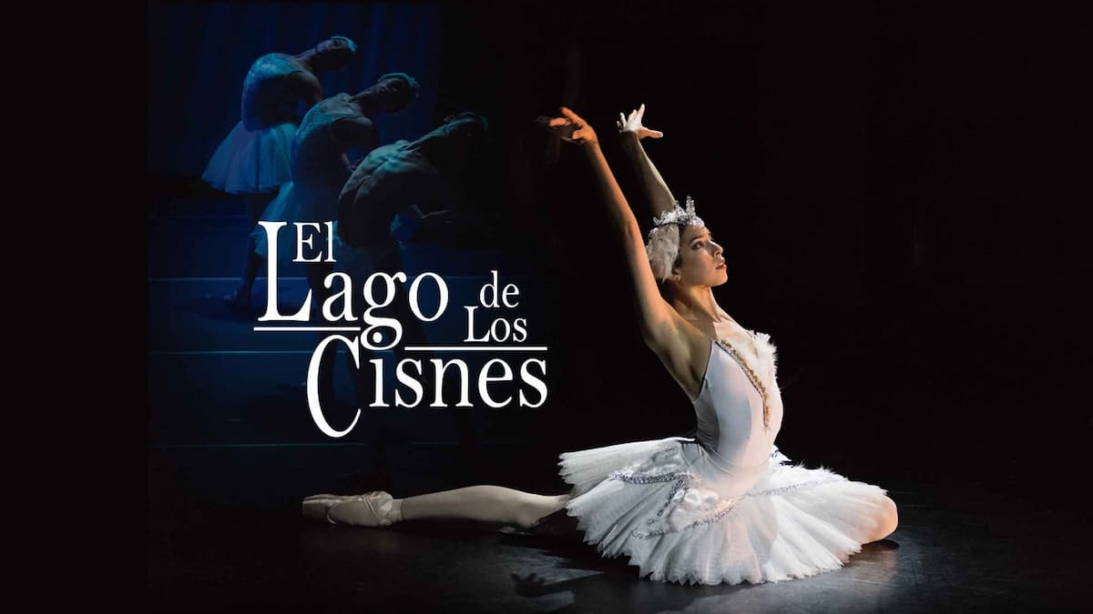El Lago De Los Cisnes