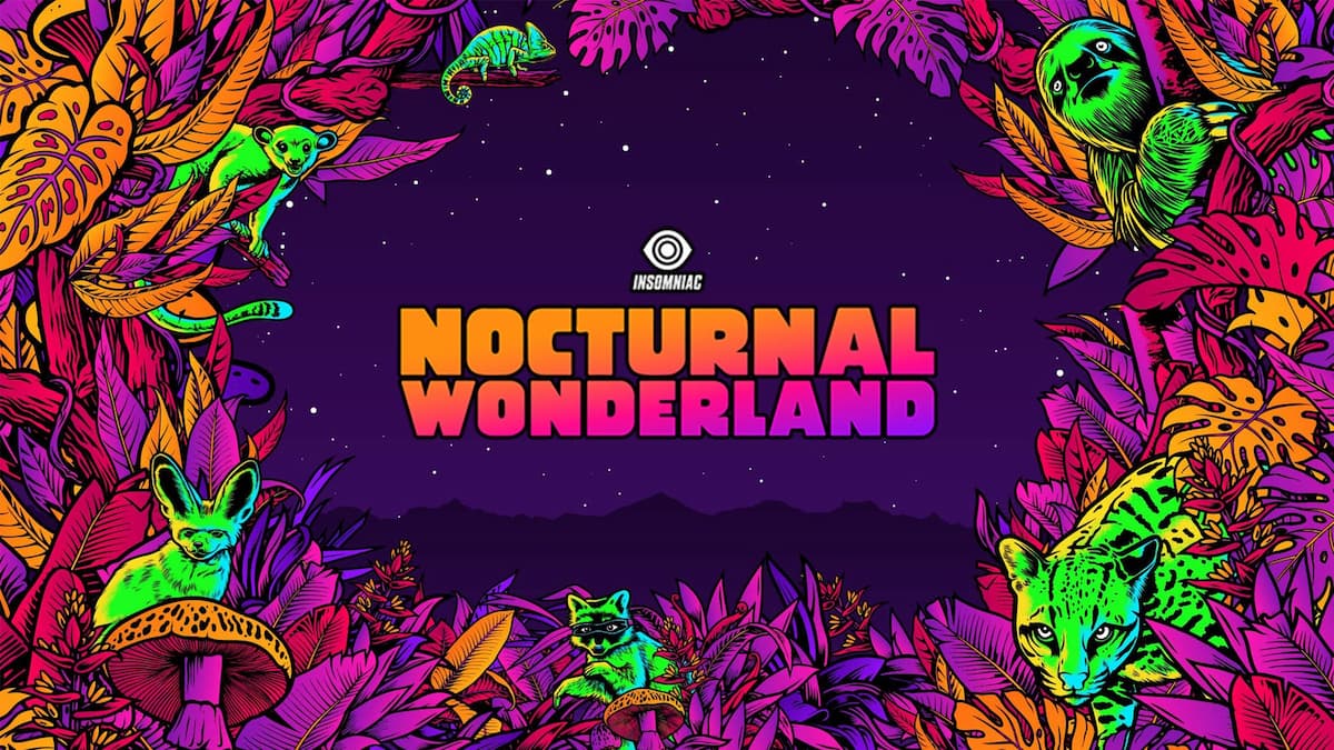Nocturnal Wonderland
