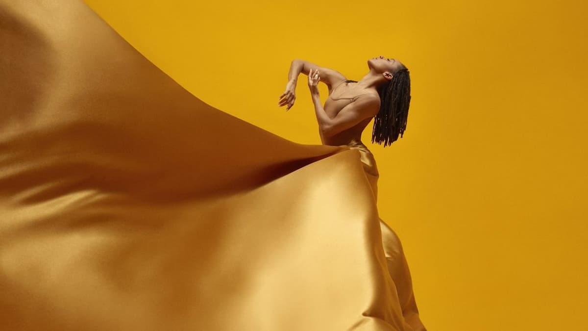 Alvin Ailey American Dance Theater