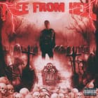B-Free