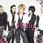 vistlip