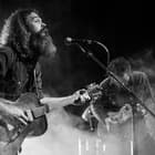 Lord Buffalo