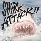 Shark Attack