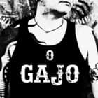 O Gajo
