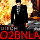 Ditch
