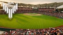 Estadio Alfredo Harp Helú