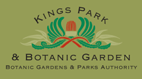 Kings Park
