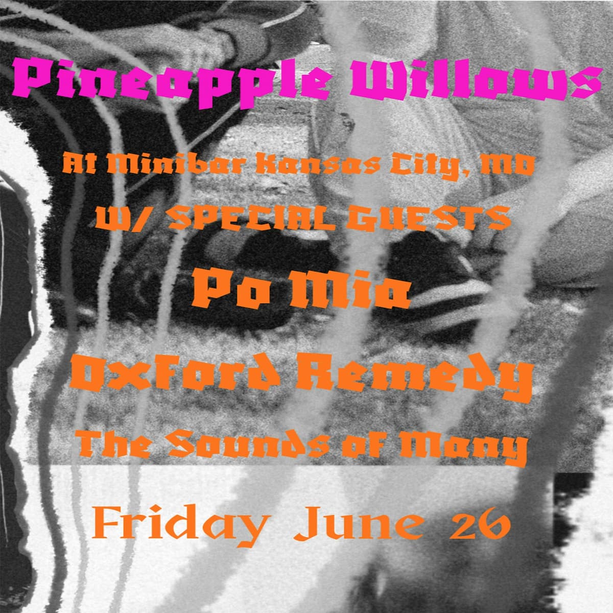 Pineapple Willows w/ Po Mai / The Sounds of Many