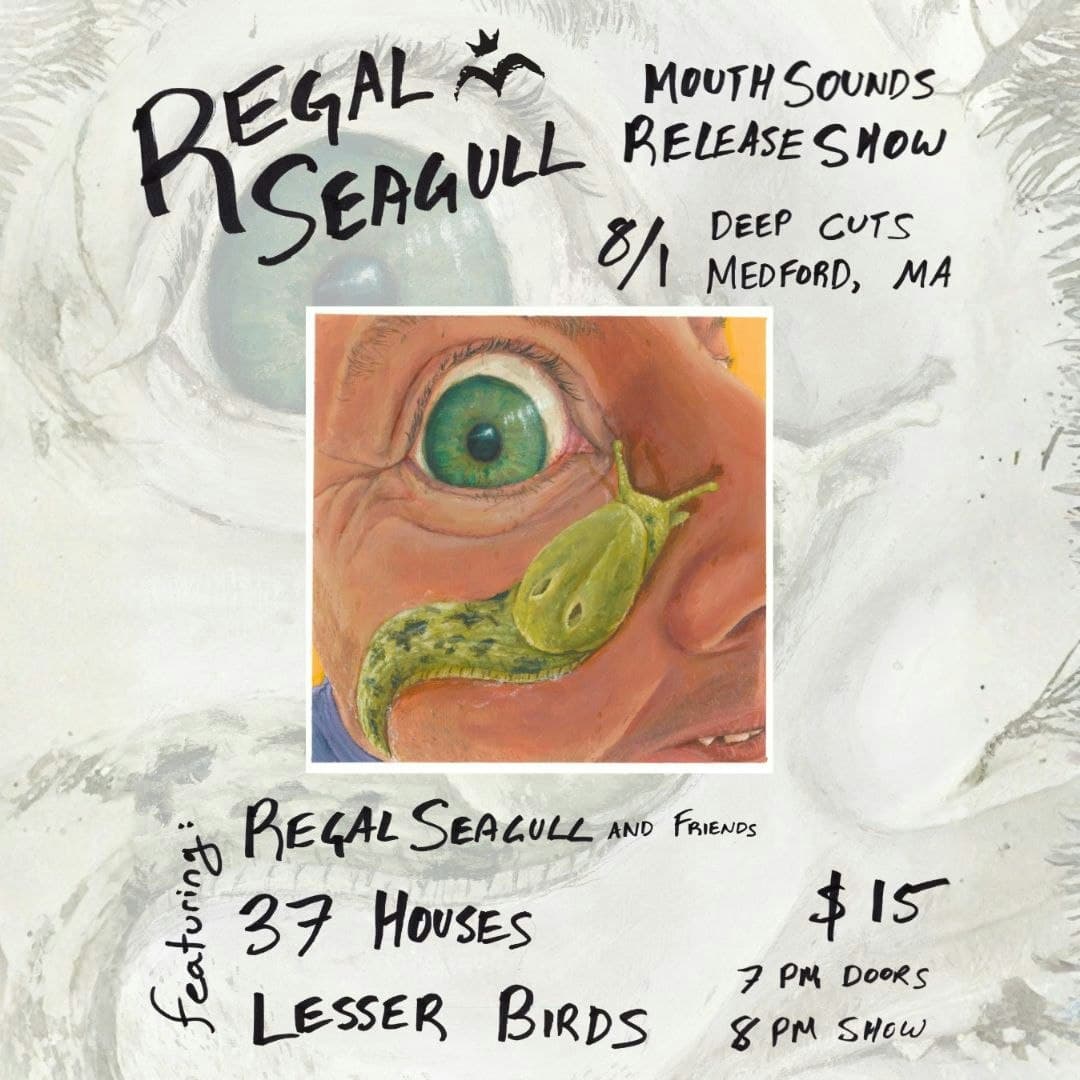 Regal Seagull / 37 Houses / Lesser Birds