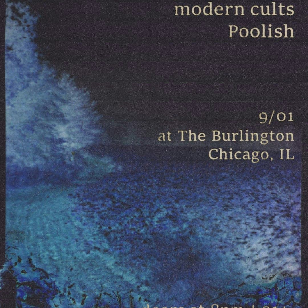 Orchid Mantis // modern cults // Poolish