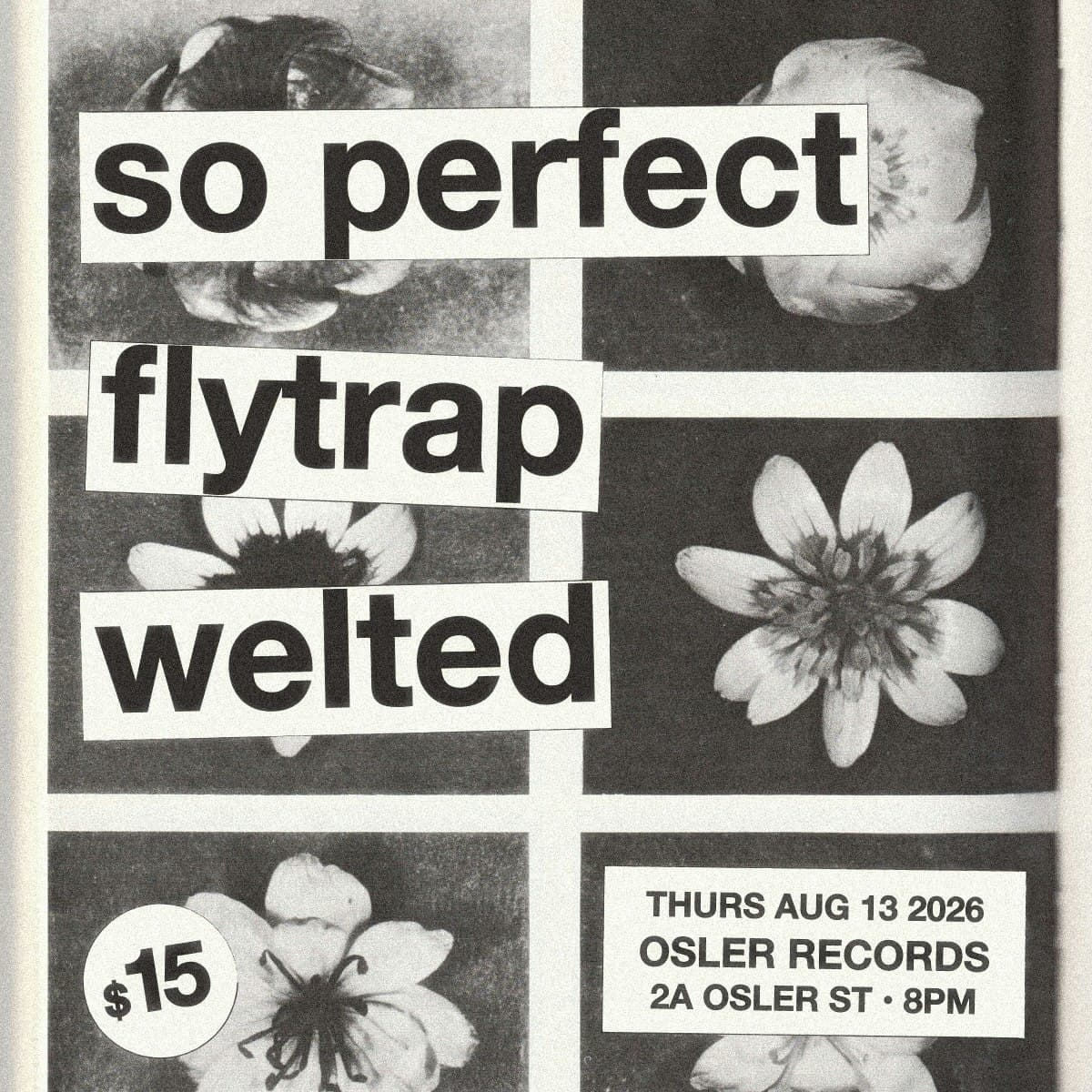 SO PERFECT, FLYTRAP & WELTED - LIVE - AUG 13