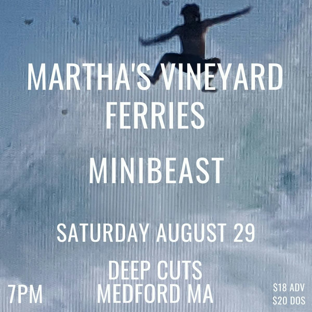 Martha's Vineyard Ferries w/ Minibeast