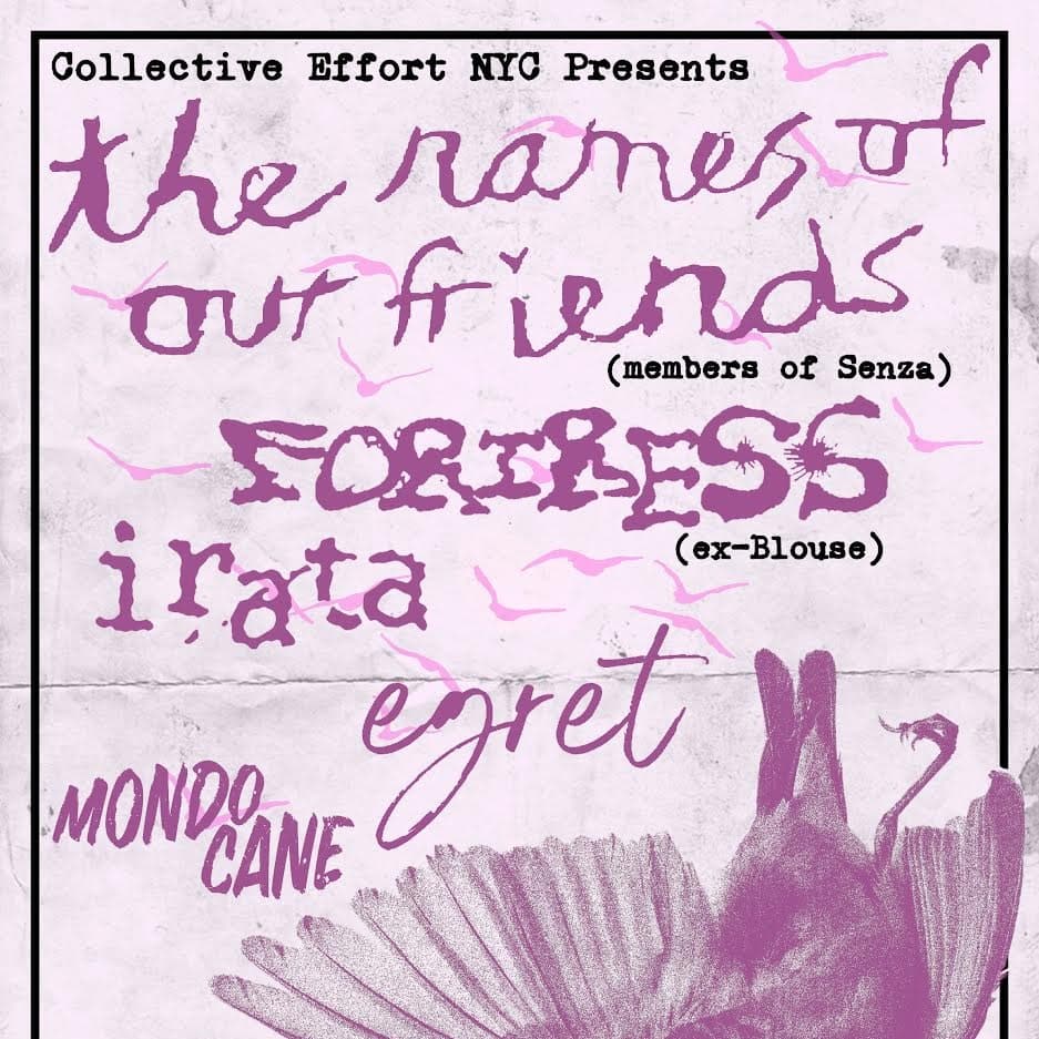 The names of our friends // Fortress // Irata //Egret // Mondo Cane