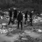 Shores of Null