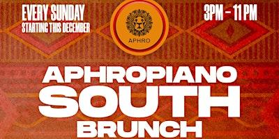 APHROPIANO SOUTH BRUNCH AND DAY PARTY - ATLANTA