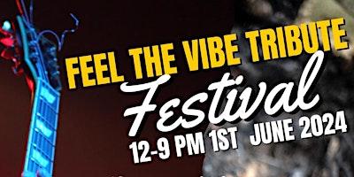 Feel The Vibe Tribute Festival